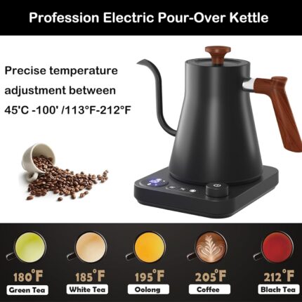 Electric Gooseneck Kettle with…
