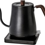 Electric Gooseneck Kettle, Hot…