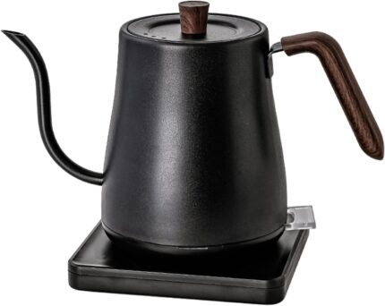 Electric Gooseneck Kettle, Hot…